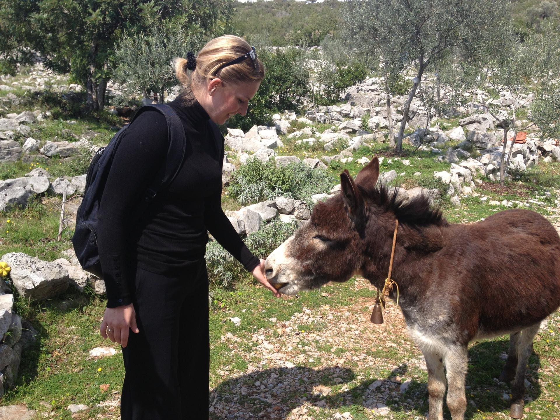 Luštica Olive Groves