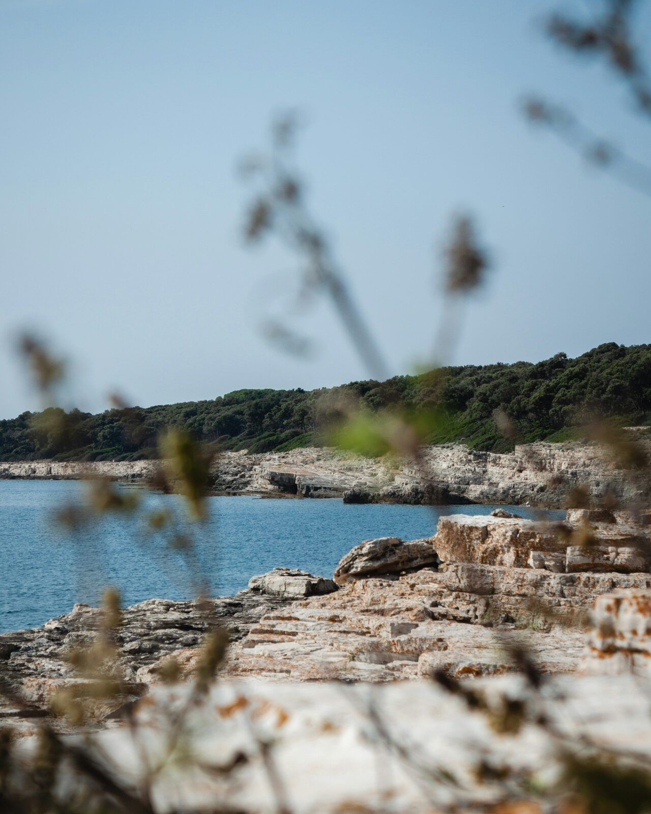 Brijuni National Park